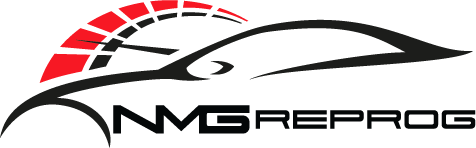 nmg reprog logo